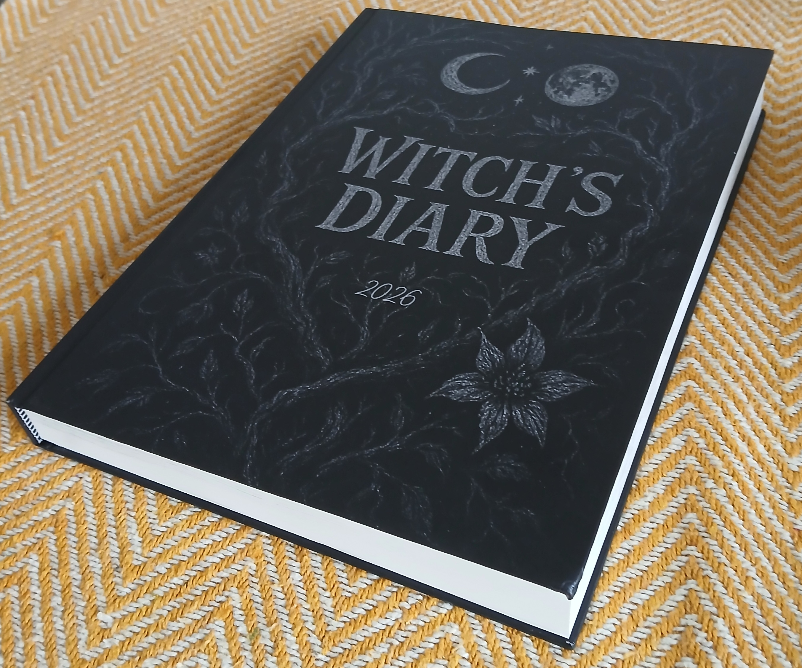 Diary example page
